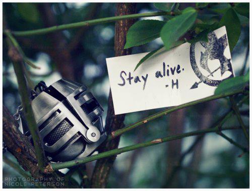 6358859461840074861612939895_Hunger Games parachute